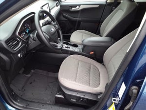 2020 Ford Escape 4 Door SUV
